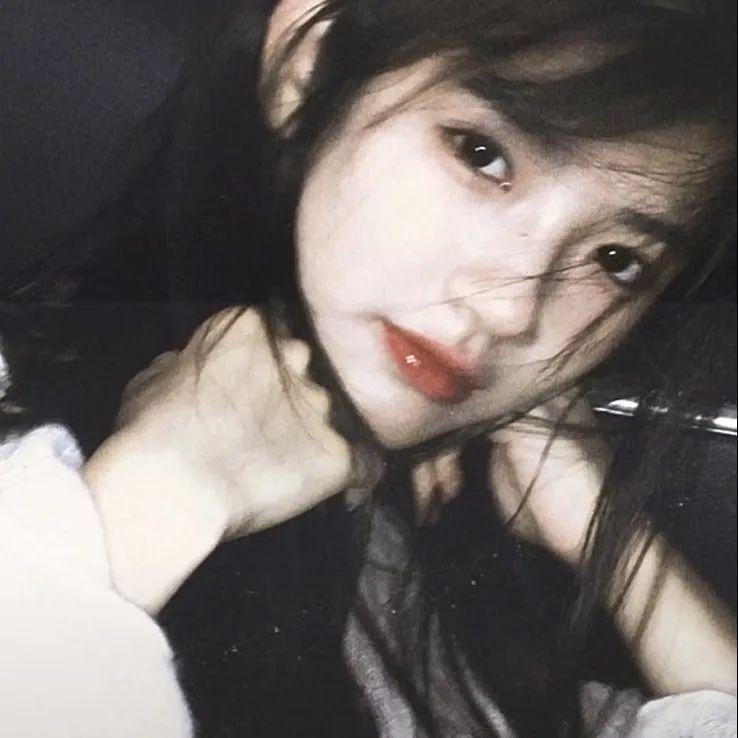 小叮当:羽翼之谜 封面